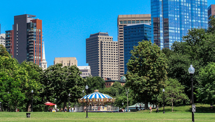 Sunny Park in Boston with Skyline